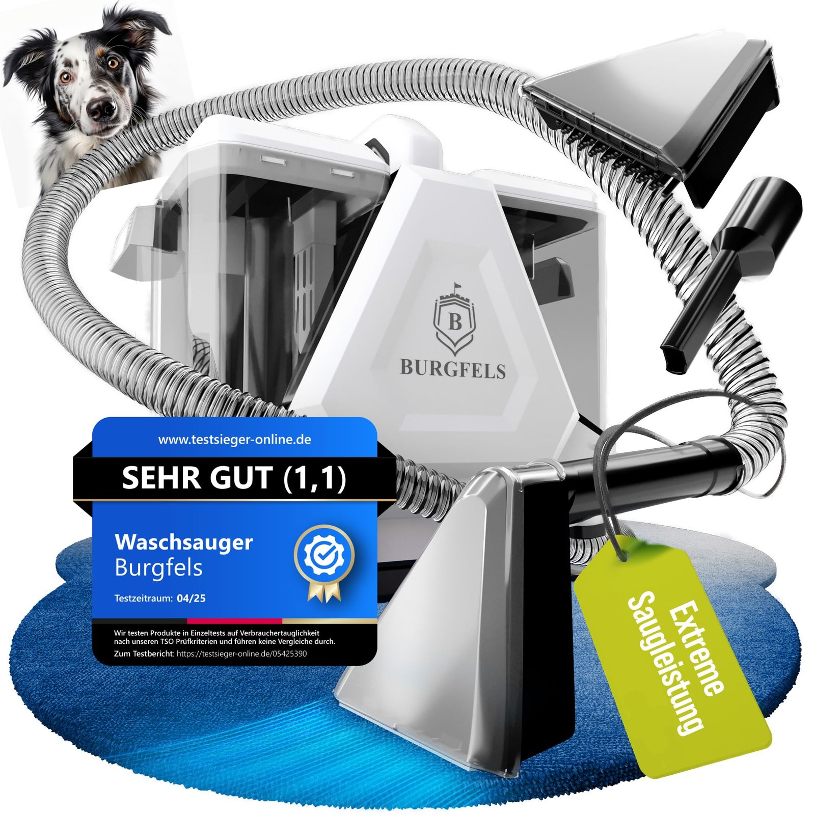 81YqZdy2SLL Burgfels PRO14WS Polsterreiniger Gerät 550W – Waschsauger – Bild 1
